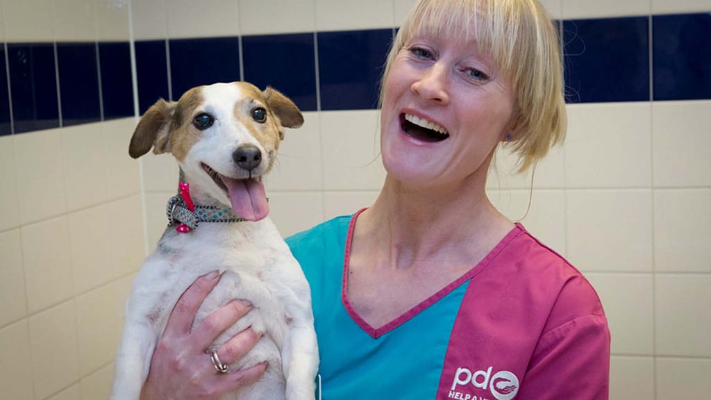 PDSA nurse smiling with dog